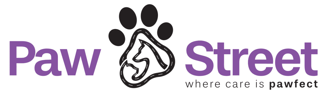 affordable pet grooming dubai