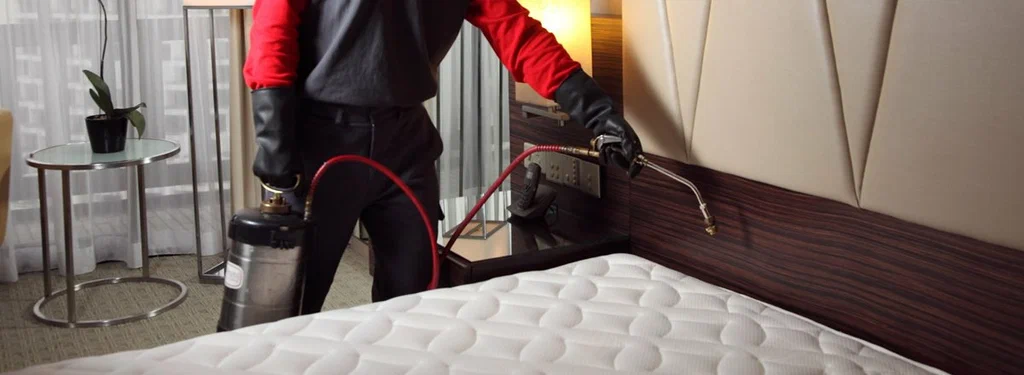 How Can You Get the Best Bed Bug Killer Spray Services in Lahore?